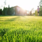 Lawn, Pasture, & Garden