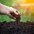Soil, Fertilizers & Amendments