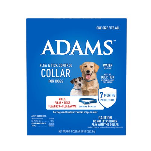 Dog Flea & Tick