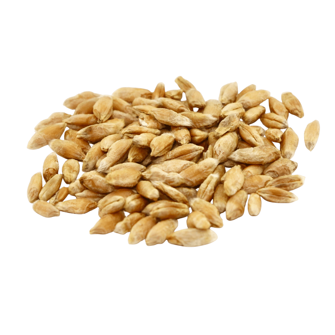 Seeds