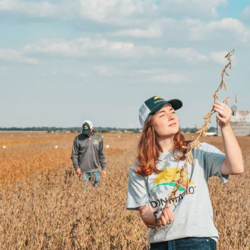 Farmers in field