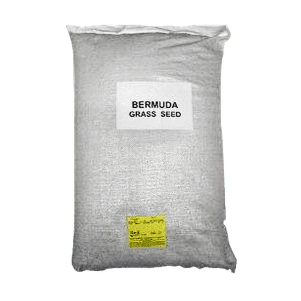 Bermuda Grass Seed – 1 lb Bag