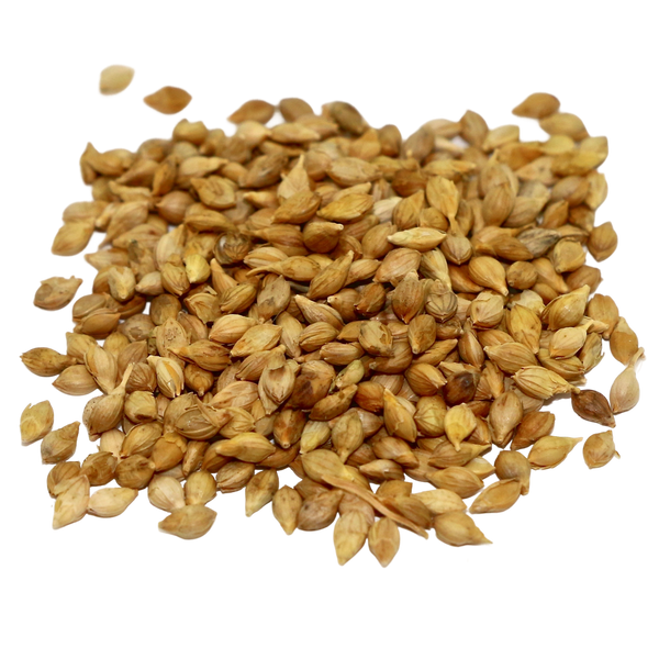 Browntop Millet Seed – 50 lb Bag