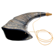 Buffalo Horn Medium