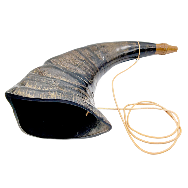 Buffalo Horn Large