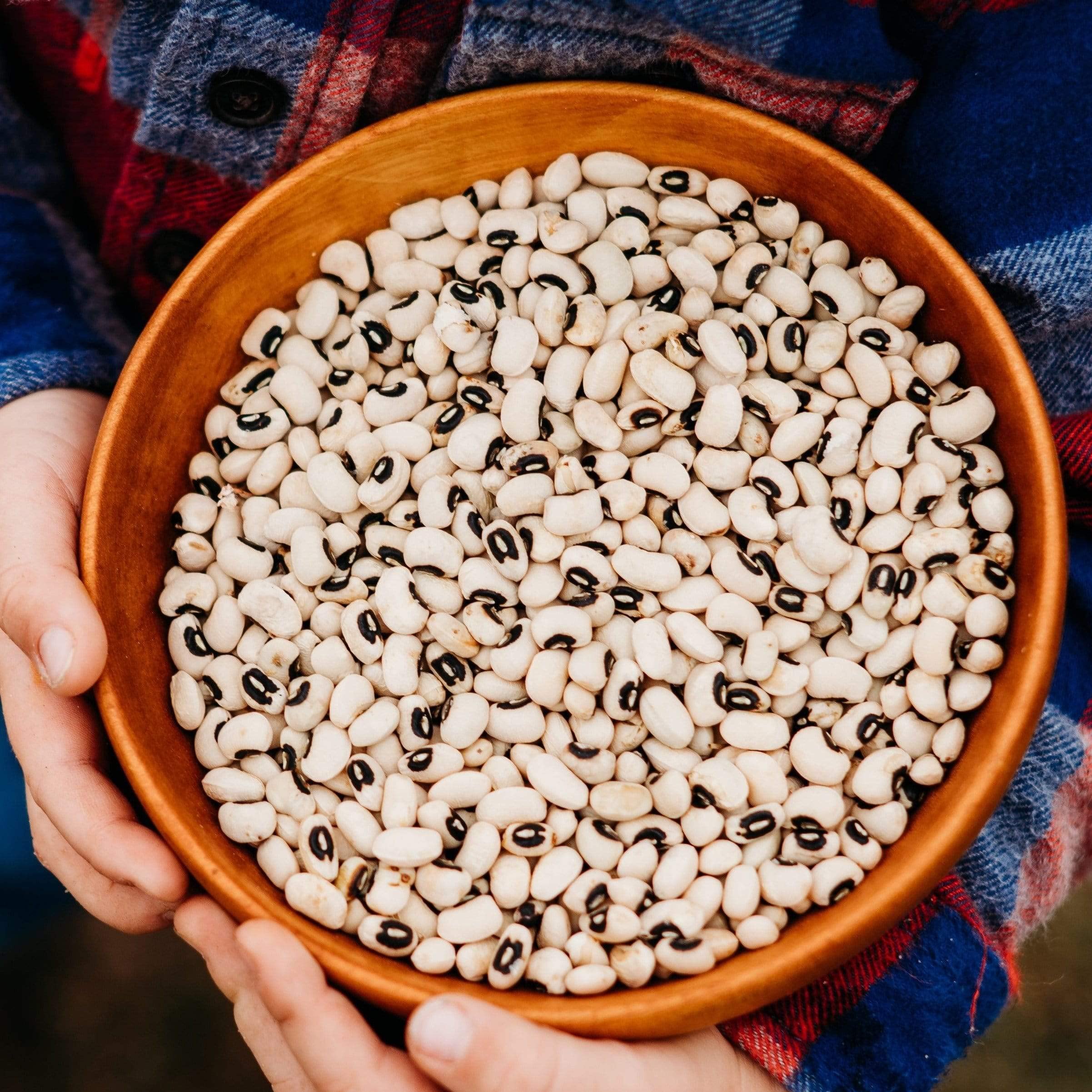 California Blackeye Cowpea Seed