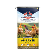 Kalmbach 16% All-Natural Layer Mini Pellet - 50 lb