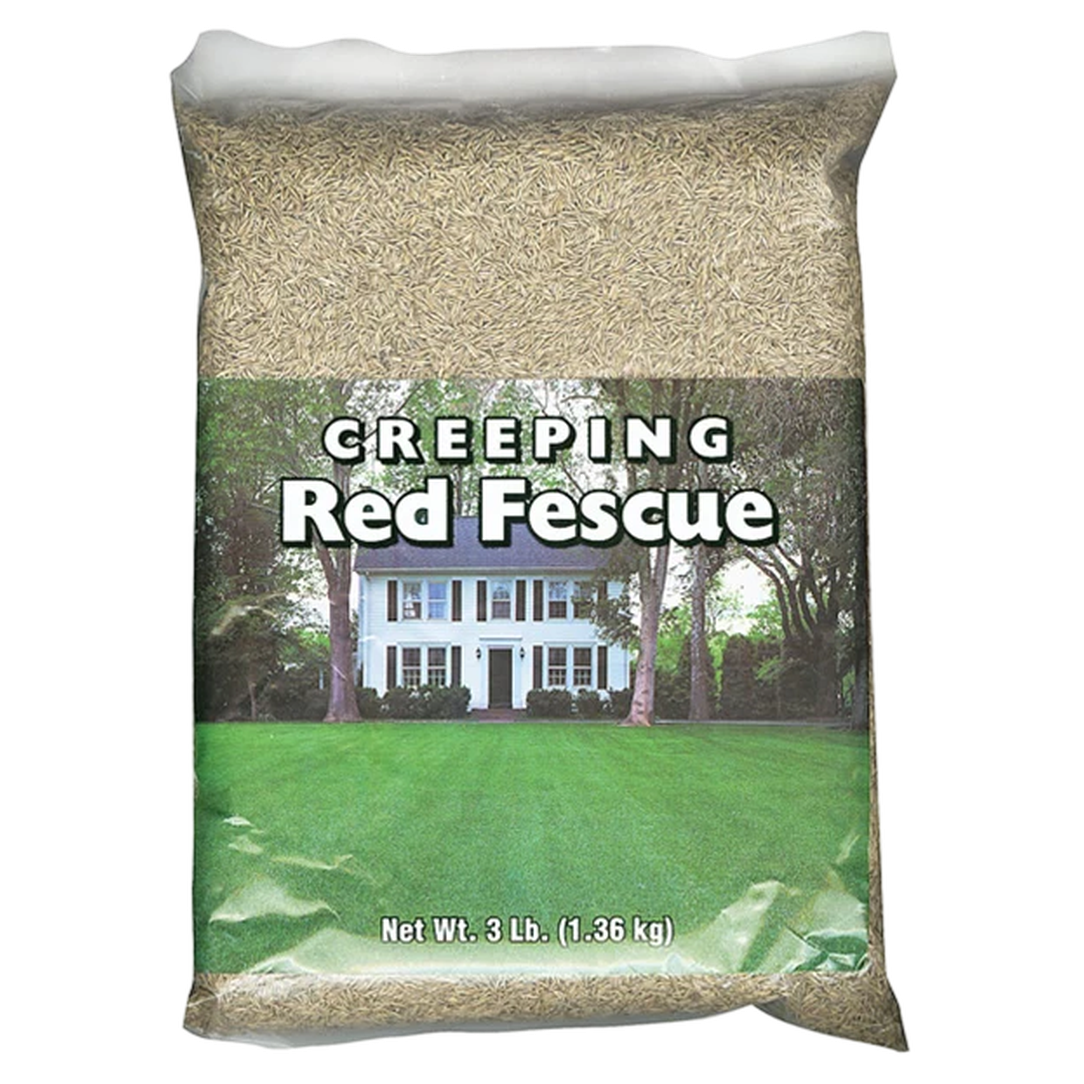 Creeping Red Fescue Seed 5 lb Bag