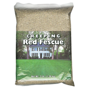 Creeping Red Fescue Seed 1 lb Bag