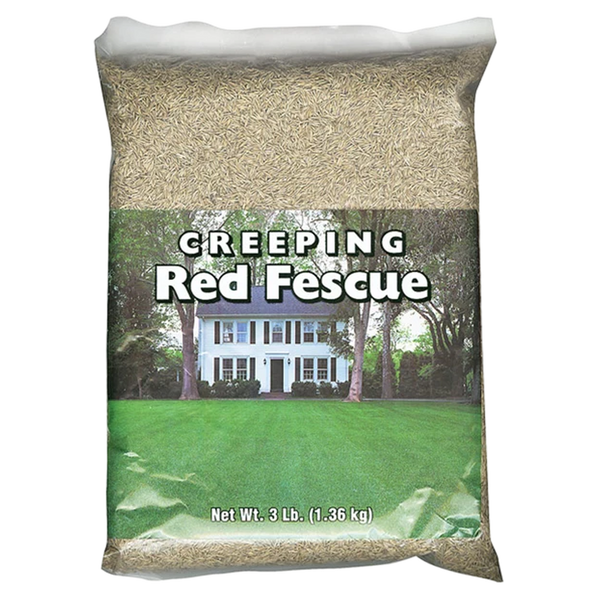 Creeping Red Fescue Seed 1 lb Bag