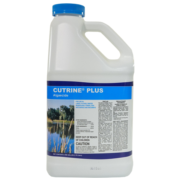 Cutrine-Plus® Liquid Algaecide – 1 Gallon