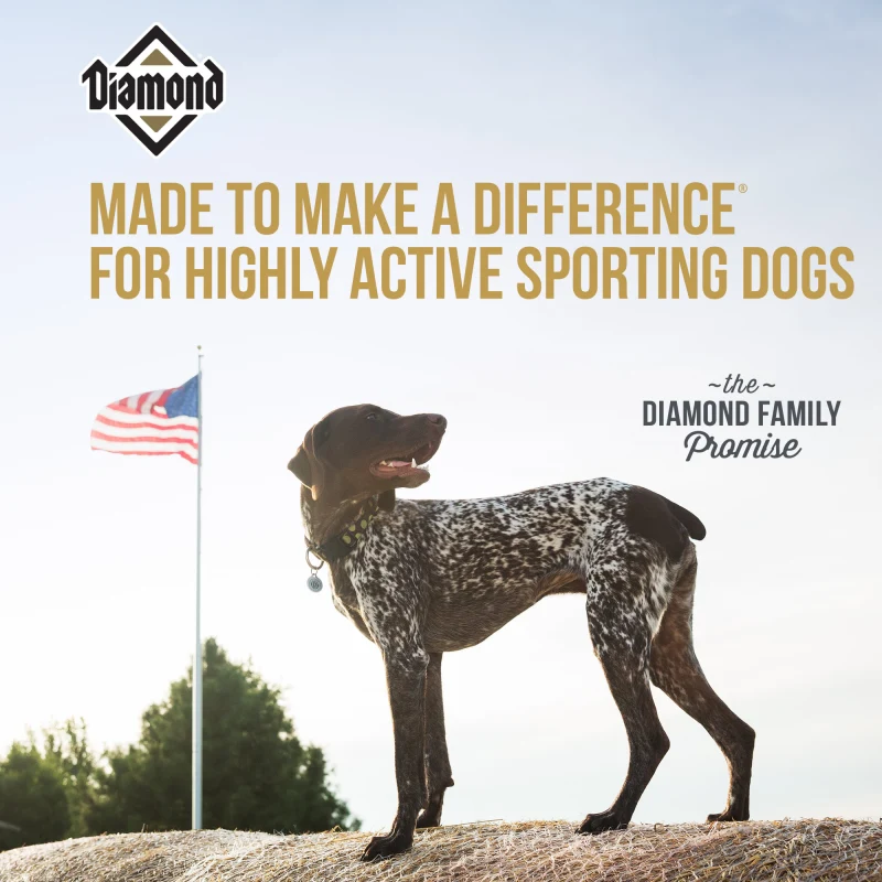 Diamond Hi-Energy - 50 lb