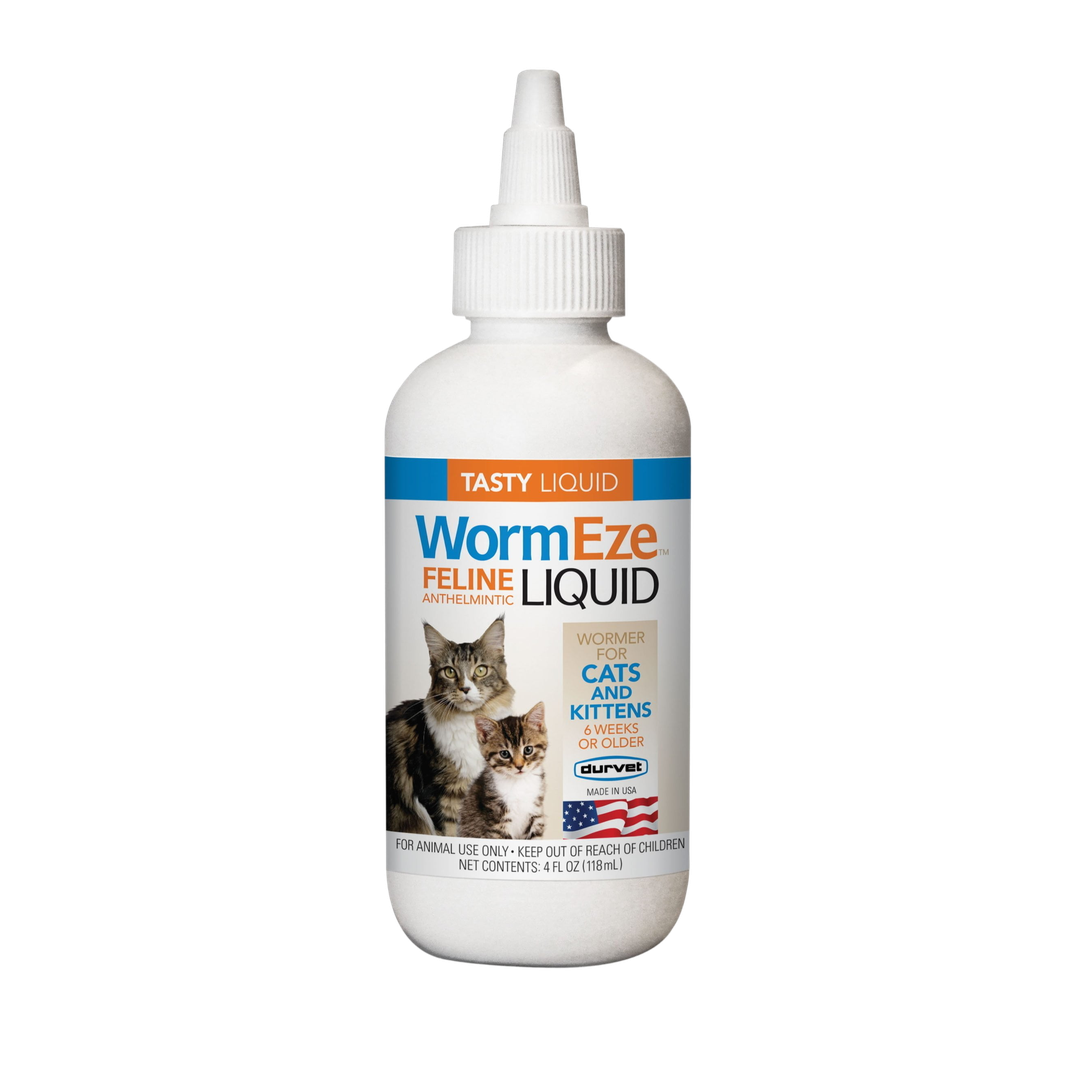Cat Health