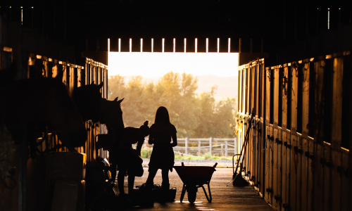 Barn silhouette