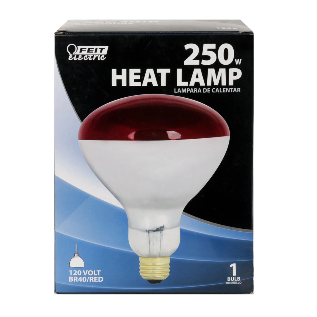 Feit Electric® 250W R40 Incandescent Heat Lamp Bulb