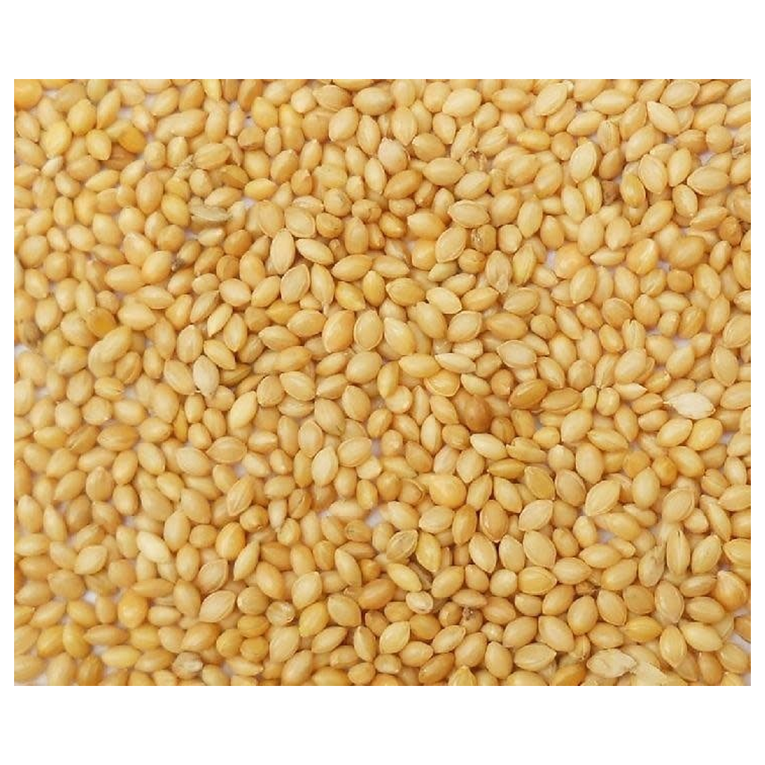 Golden Millet Seed – 50 lb Bag