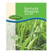 Kentucky Bluegrass Seed - 5 lb Bag