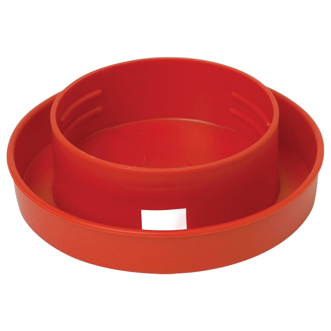 Little Giant® 1 Quart Quail Waterer Base