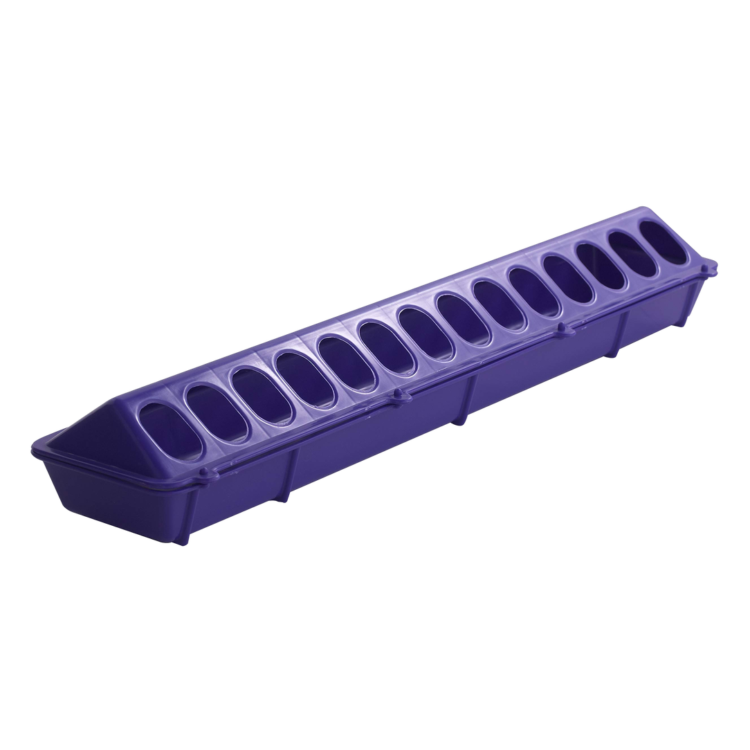 Little Giant® 20" Plastic Poultry Feeder Trough Base – Purple