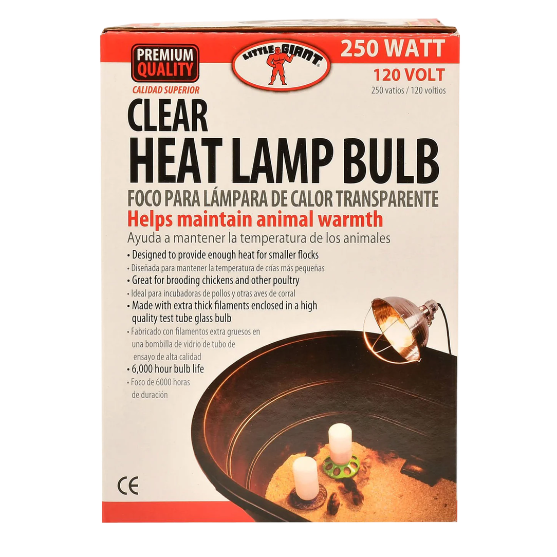 Little Giant 250W Clear Heat Lamp Bulb – Infrared Brooder & Barn Heating