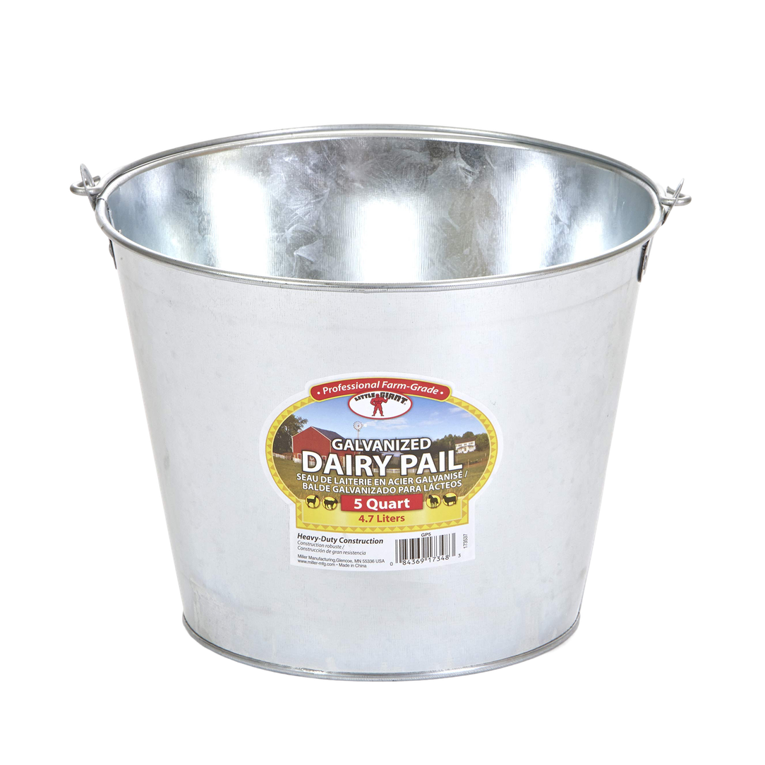 Little Giant® 3-Pint Galvanized Utility Pail
