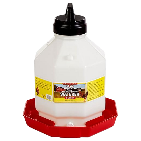 Little Giant® 5 Gallon Plastic Dome Poultry Waterer