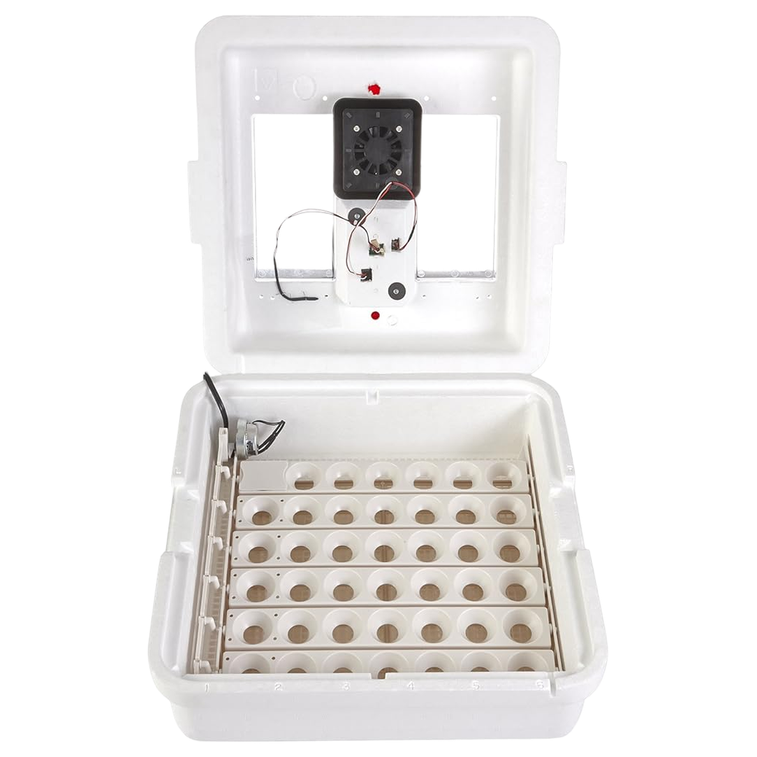 Little Giant® Digital Circulated Air Incubator with Automatic Turner – 41 Eggs