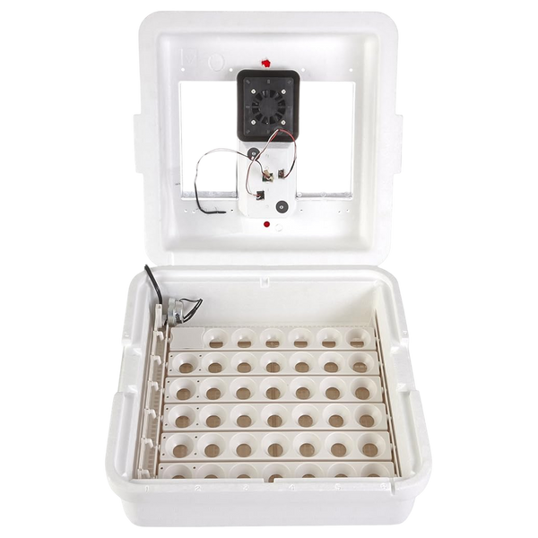 Little Giant® Digital Circulated Air Incubator with Automatic Turner – 41 Eggs