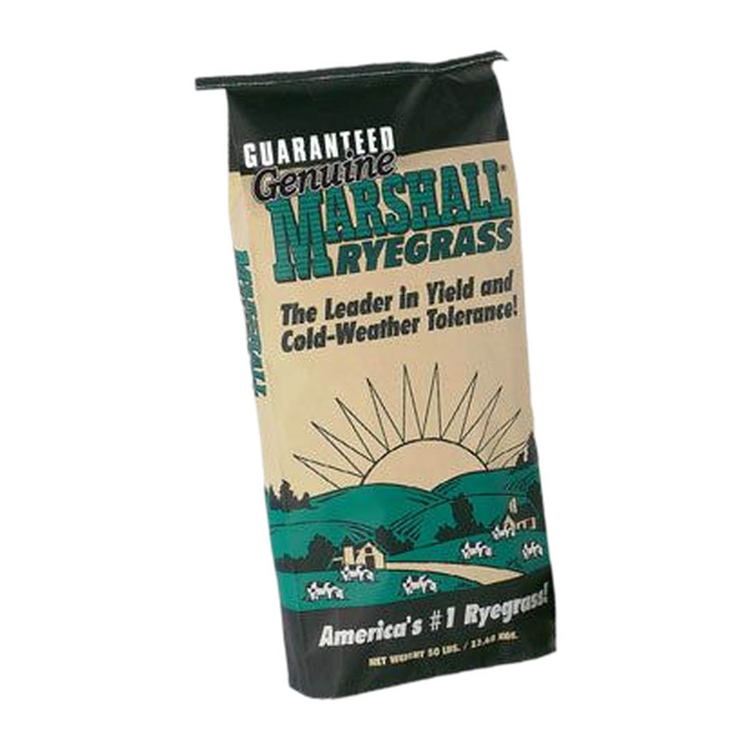 Marshall Ryegrass - 1 lb Bag