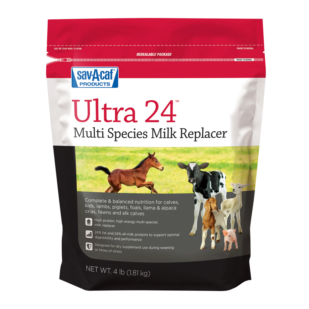 Milk Products Grade A Ultra 24 Milk Replacer – All-Milk Protein Formula for Calves & Livestock - 4 lb