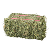 Orchardgrass - 1 lb Bag