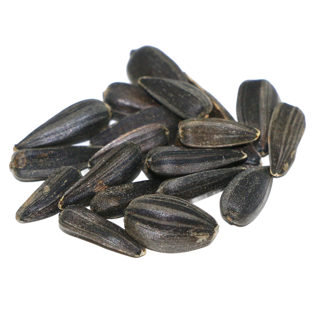 Peredovik Sunflower Seed – 5 lb Bag