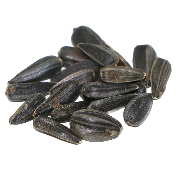 Peredovik Sunflower Seed – 5 lb Bag
