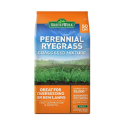 Perennial Ryegrass Seed – 5 lb