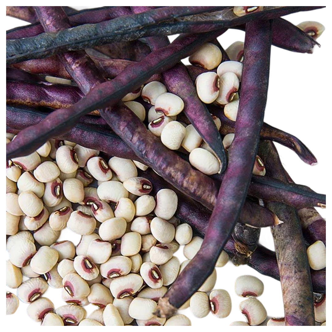 Purple Hull Peas Seed – 5 lb Bag