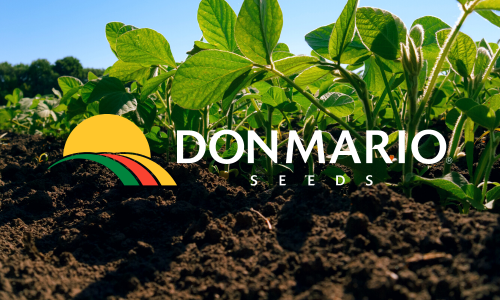 DONMARIO Seeds logo