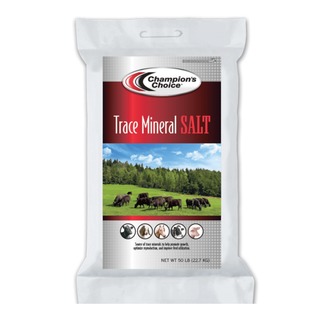 Trace Mineral Salt (loose) Bag - 50 lb