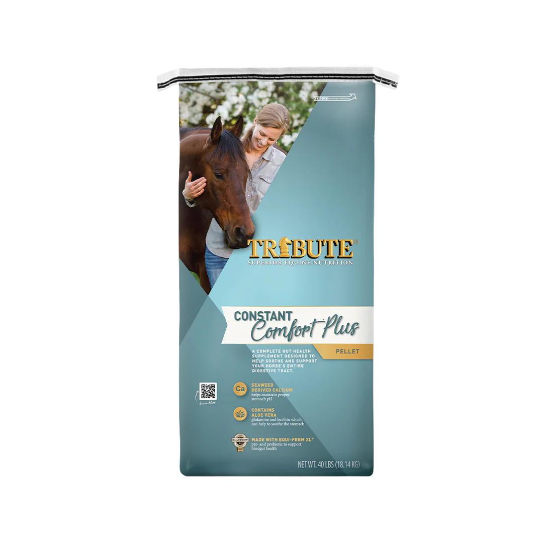 Tribute Constant Comfort Plus - 40 lb