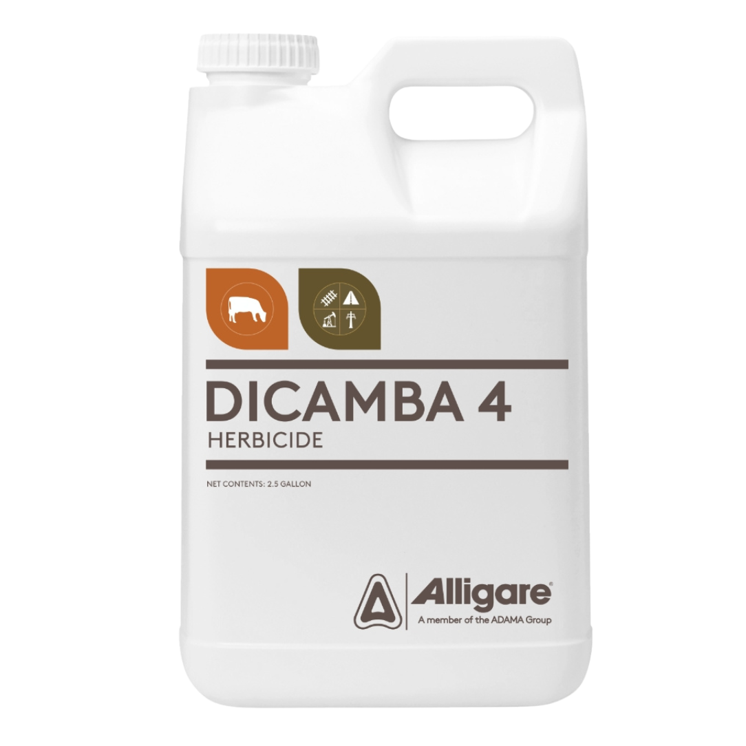 ADAMA Dicamba