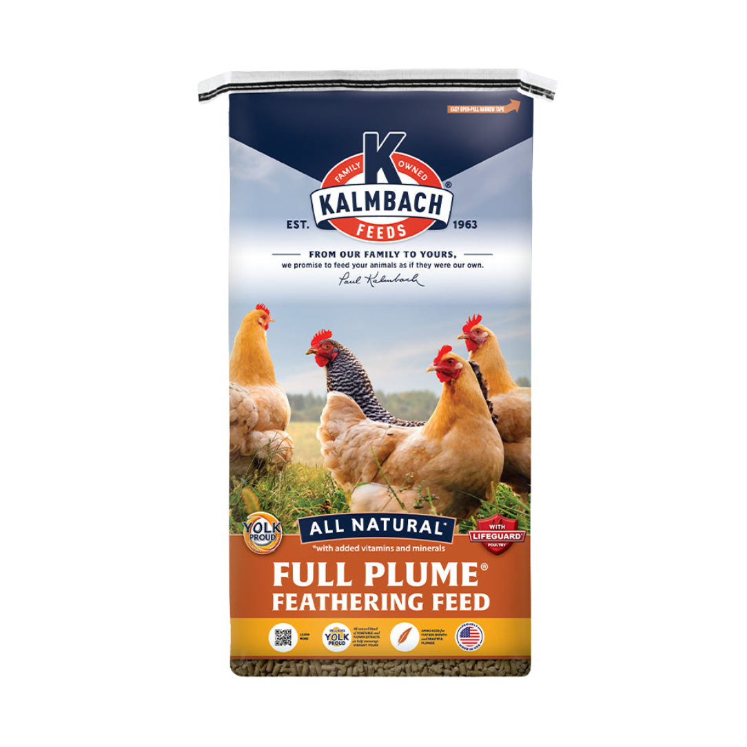 Chicken Feed