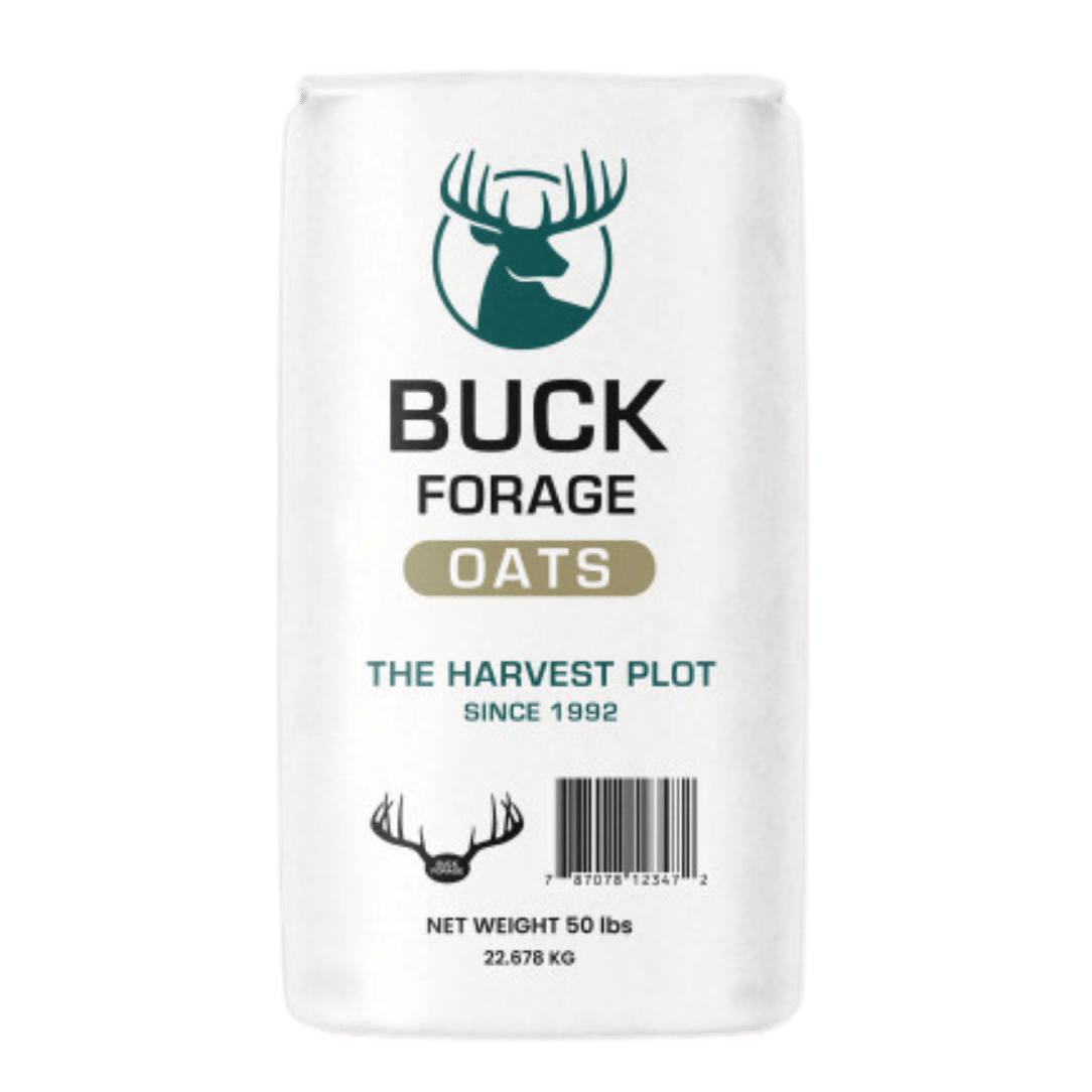 Buck Forage Oats - 50 lb Bag