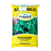 Chicory Seed 1 lb Bag