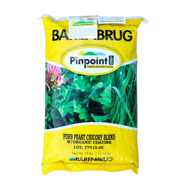 Chicory Seed 1 lb Bag