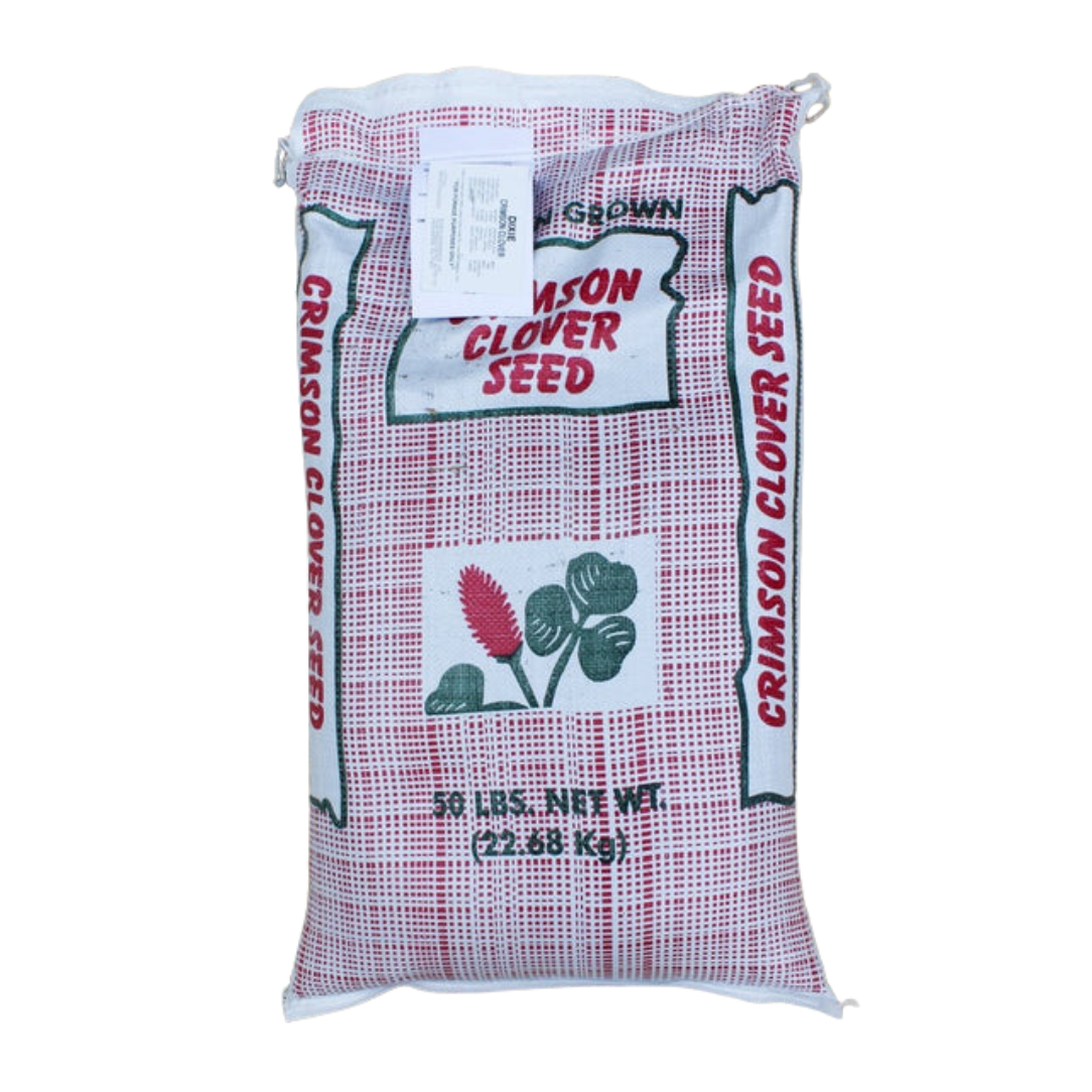 Crimson Clover - 1 lb Bag