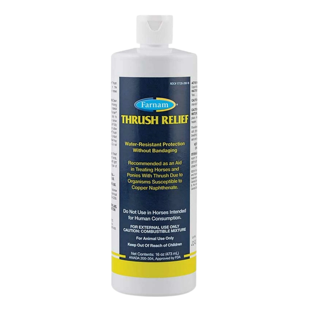 Horse Hoof Care