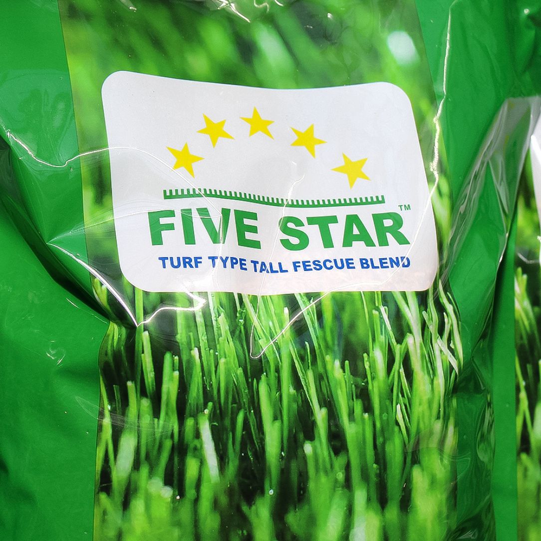 Five Star Fescue Lawn Mix – Fayette, Crossfire 4, Foxhound, Rhizing Moon, Hound Dog 8 - 5 lb