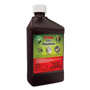 Hi-Yield® 55% Malathion Spray – 16 oz Concentrate