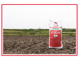 Miravis® Top Fungicide – Mini Bulk