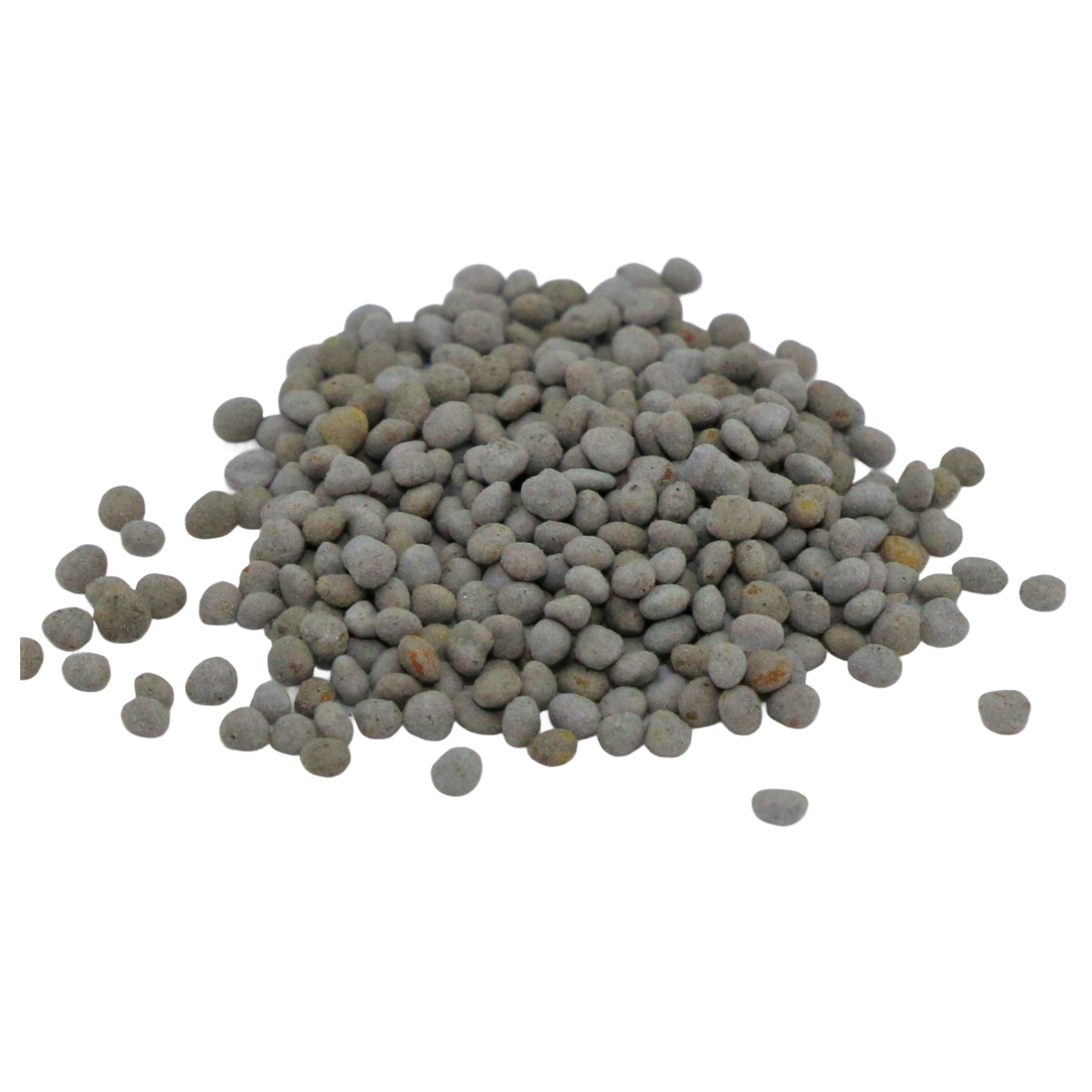 Ladino Clover - 50 lb Bag