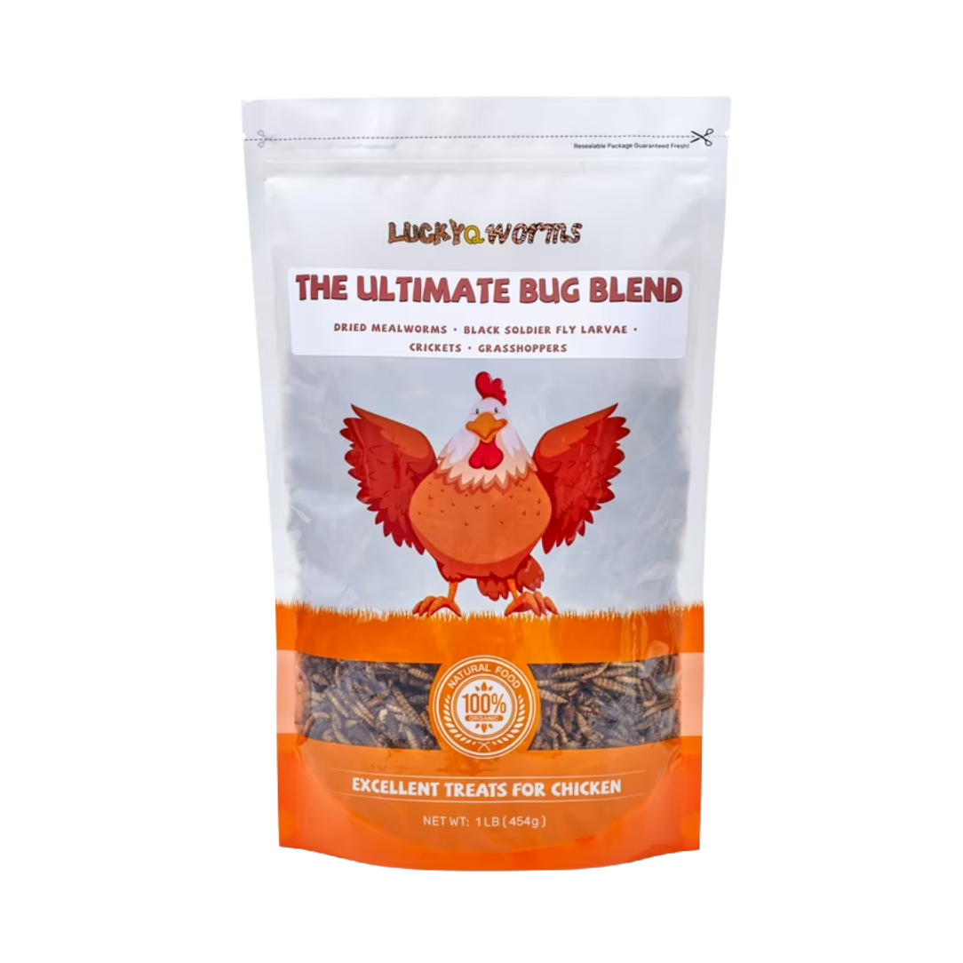 LuckyQ Mealworms - 1 lb